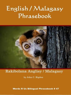 English / Malagasy Phrasebook - ebook